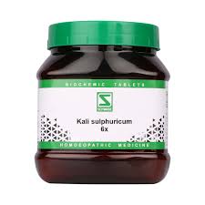 Willmar Schwabe India Kali Sulphuricum 6X (550g)