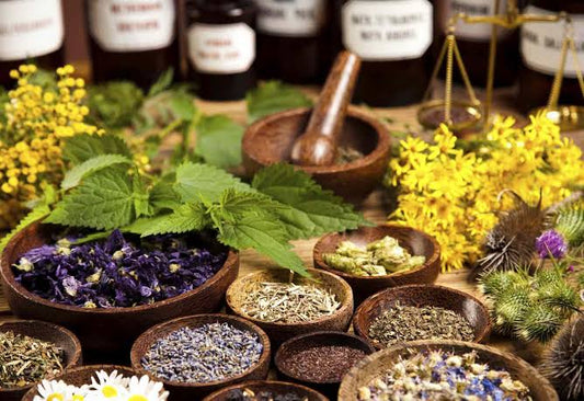 Why Do People Choose Homeopathy?