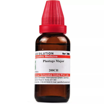 Homeopathy