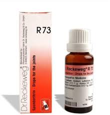Dr. Reckeweg R73 Joint Pain Drop | Bone, Joint & Muscle Care - 22ml