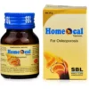 502-1-1000 (1) SBL Homeocal Tabs (25g)